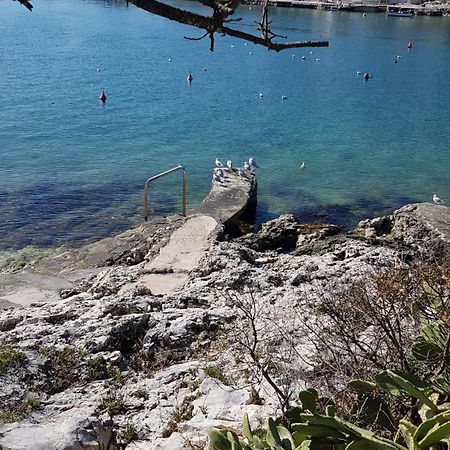 Villa Maja Trogir Exteriör bild