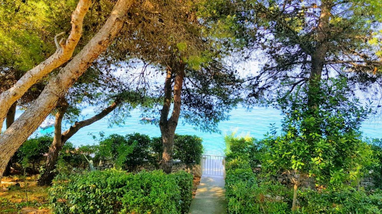Villa Maja Trogir Exteriör bild